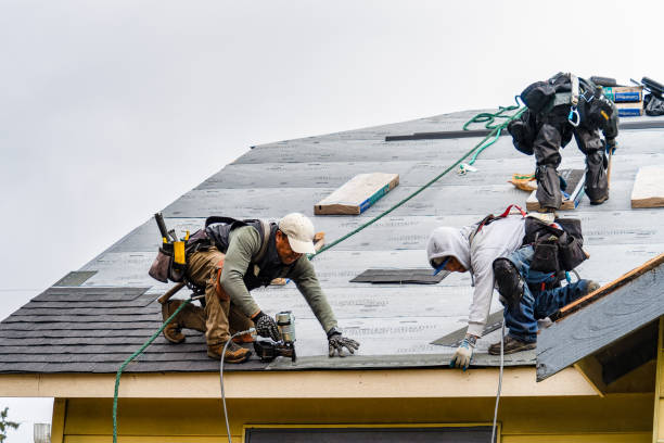 Professional Roofing technician working in Walters, OK